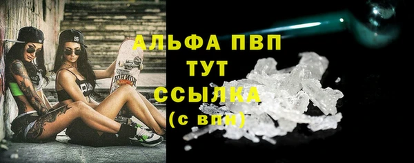 спиды Дмитриев