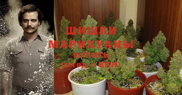 спиды Дмитриев