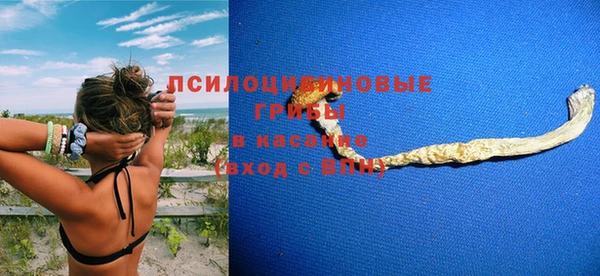 Альфа ПВП Дмитровск