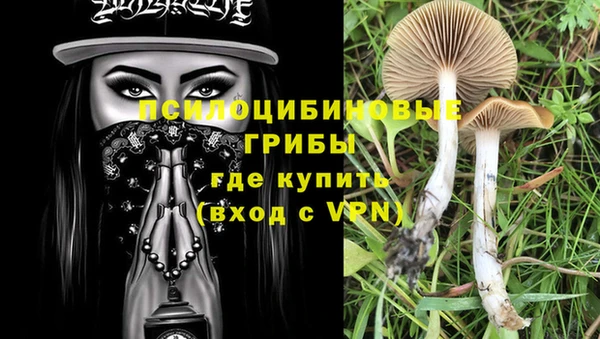 молекула духа Каменск-Шахтинский