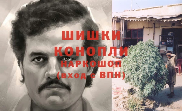 винт Дмитров