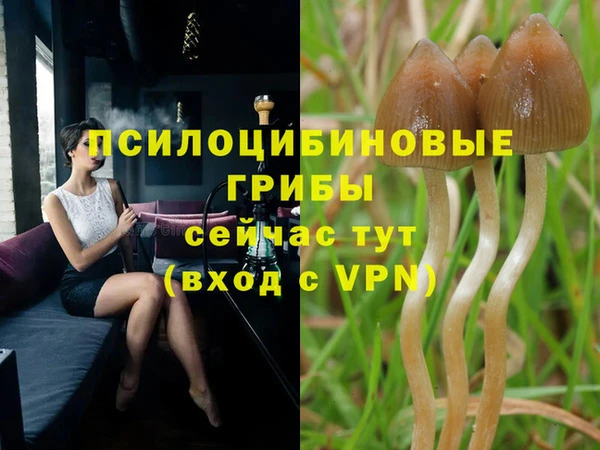 спиды Дмитриев