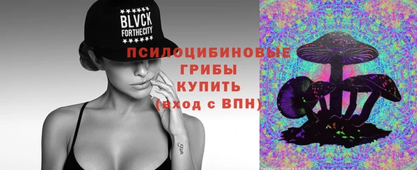 Альфа ПВП Дмитровск